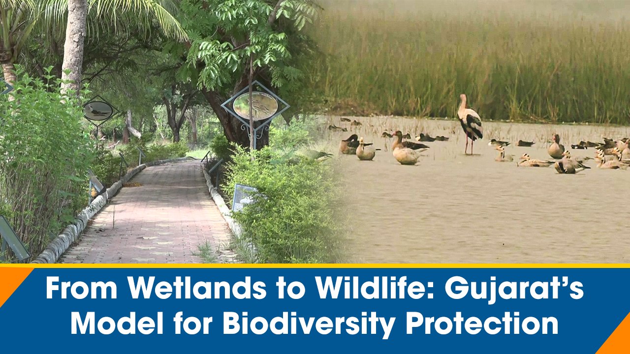 From Wetlands to Wildlife: Gujarat’s Model for Biodiversity Protection