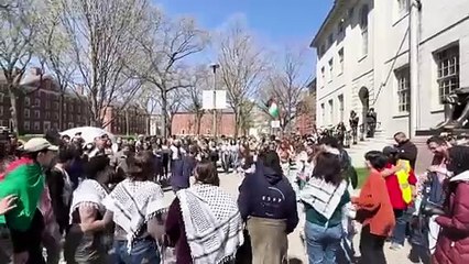 Harvard sues Trump administration after it banned the school from enrolling international students