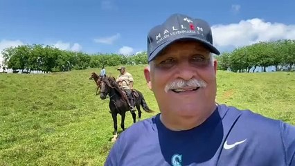 Jaime David Fernández Mirabal respalda a Faride Raful ante ataques: "Debe estar parando muchas mafias"