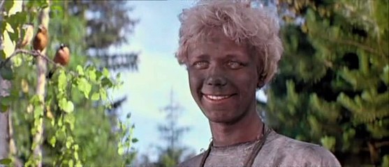 Огонь, вода и медные трубы.