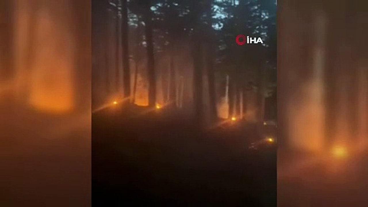 Mesire alanına düşen yıldırım ormanı yaktı