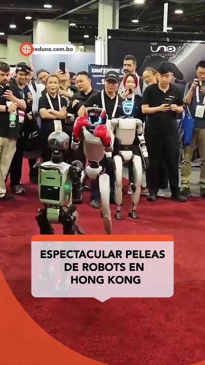 robots boxeando
