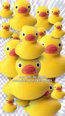 Carrera de patitos de hule