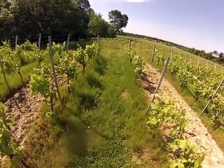 Seiko 18 mai 2025 ‐Clipchamp