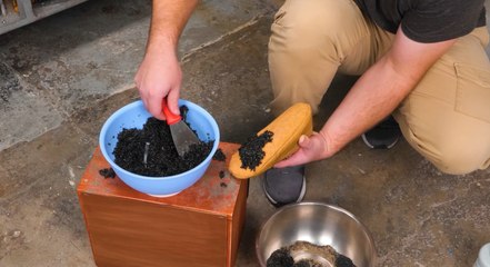 BRICOLAGE VERT : Recycler, Réutiliser, Réimaginer !