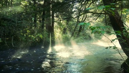 Chill Vibes at Dusk – Evening Calm