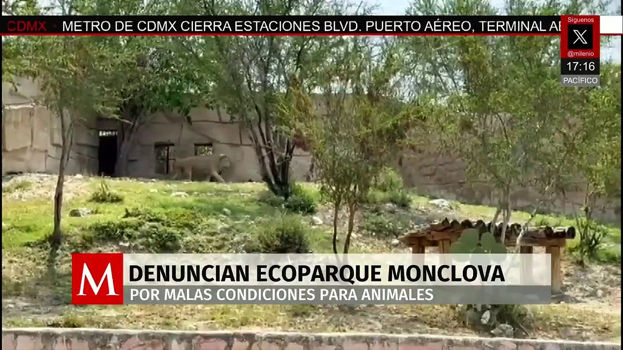 Denuncian al Ecoparque Monclova por malas condiciones en el cuidado de los animales