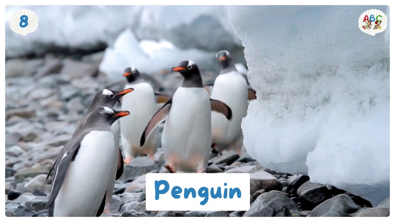 50 Sea Animals for Kids | Learn Sea Animals Names | Types of Sea Animals