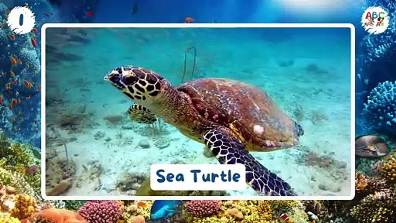 100 Sea Animals for Kids | Learn Sea Animals Names | Sea Creatures for Kids | Types of Sea Animals