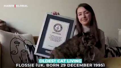 Dünyanın en yaşlı kedisi 30 yaşına girdi