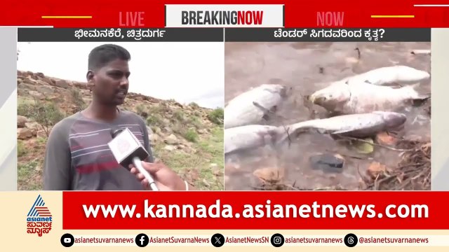 ಮೀನಿನ ಕೆರೆಗೆ ವಿಷಹಾಕಿದ ದುಷ್ಟರು; ಸತ್ತ ಸಾವಿರಾರು ಮೀನುಗಳು | Chitradurga News | Suvarna News