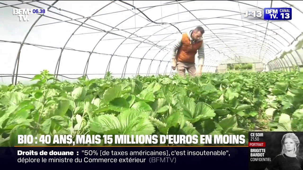 Agriculture bio: pour ses 40 ans, le ministère de l'Agriculture annonce une baisse de 15 millions d'euros des subventions