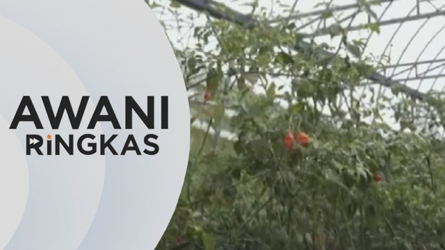 AWANI Ringkas: KPKM laksana inisiatif berteraskan AI