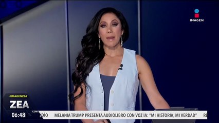 Hombre extranjero rocía con ácido a 2 perritos en Oaxaca