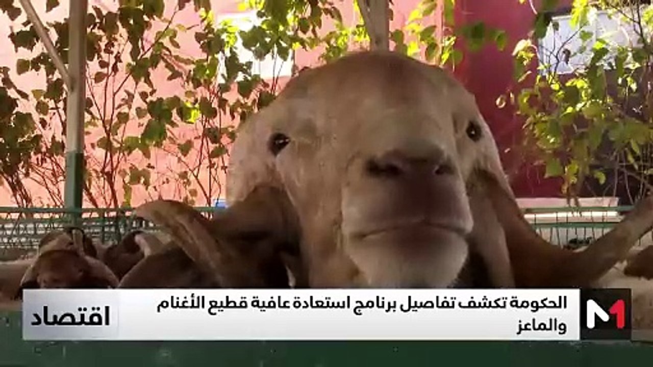 النشرة الاقتصادية - 23/05/2025