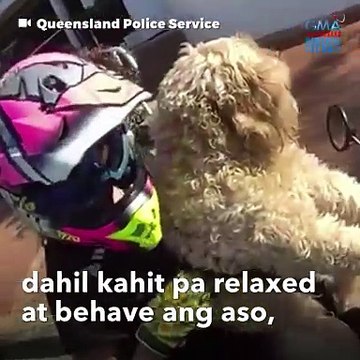 Babae, sinita dahil sa kanyang kakaibang angkas! | GMA Integrated Newsfeed