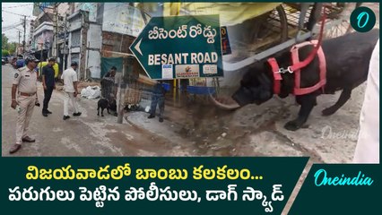 Bomb Threat Call To Vijayawada  -  కంట్రోల్‌ రూమ్‌కి ఫోన్‌ , పోలీసులు రంగ ప్రవేశం | Oneindia Telugu