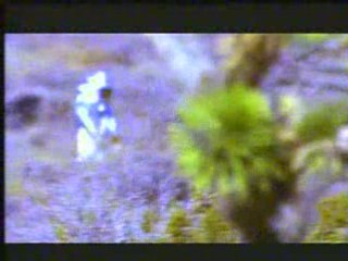 Lootpack & Quasimoto - 20 Questions + Whenimondamic