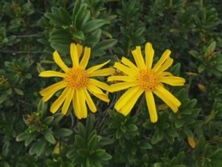 Haute vallée de la Diosaz