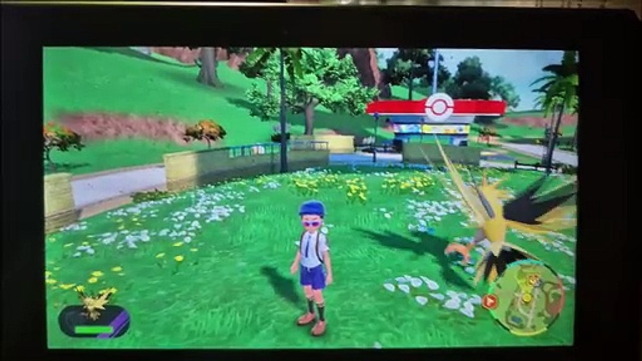 Documentary: Zapdos Anthony's Favorite Pokémon