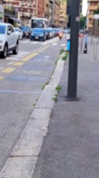 Milano, motorini prendono la pista ciclabile contromano. La protesta dei ciclisti: Lo fanno sempre, per evitare le code