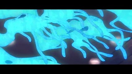 The.Boys.Presents.Diabolical.S01E07.John.and.Sun.Hee.1080p.AMZN.WEB-DL.DDP5.1.Vegamovies.NL