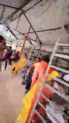 Walking Tour of Bagalamukhi Devi Temple 🔱 | Shakti Peeth in Himachal Pradesh