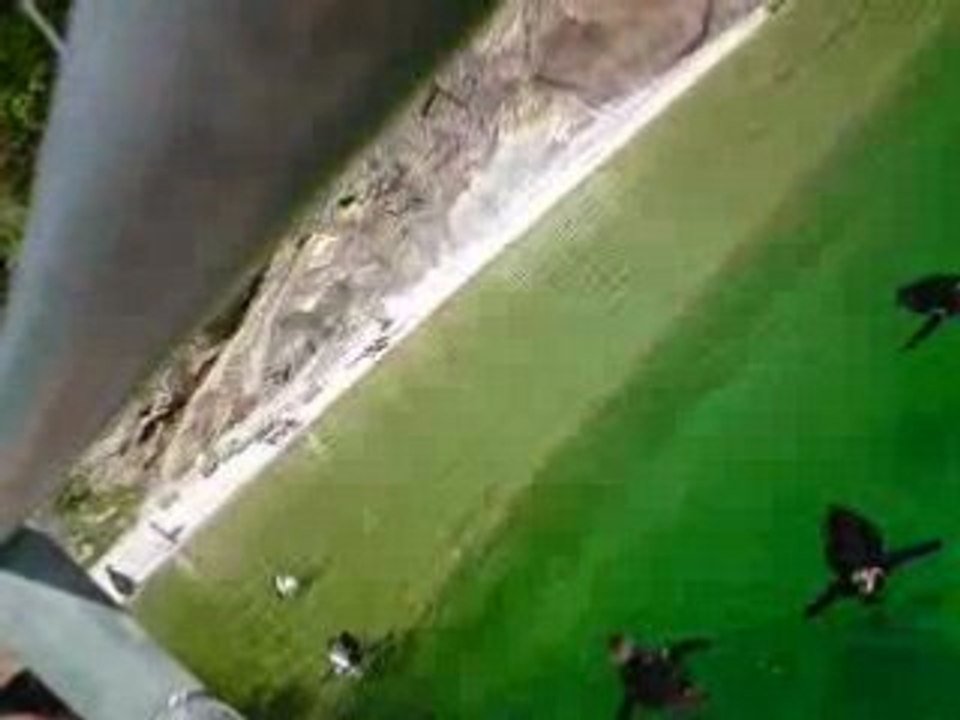 V100508_13.16