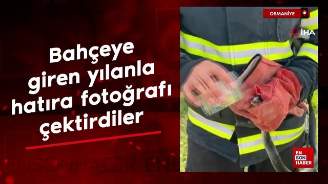 Osmaniye'de bahçeye giren yılanla hatıra fotoğrafı çektirdiler