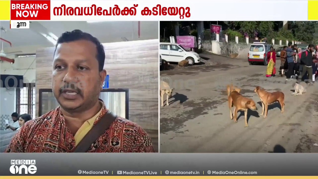 ഇടുക്കി മൂന്നാറിൽ തെരുവുനായ ആക്രമണം; വിനോദ സഞ്ച...