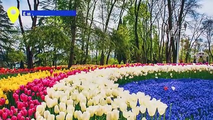 İstanbul'da gezilecek 35 yer