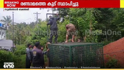 സുൽത്താൻ ബത്തേരിയിൽ പുലിയെ പിടികൂടാനായി രണ്ടാമത്തെ കൂട് സ്ഥാപിച്ചു
