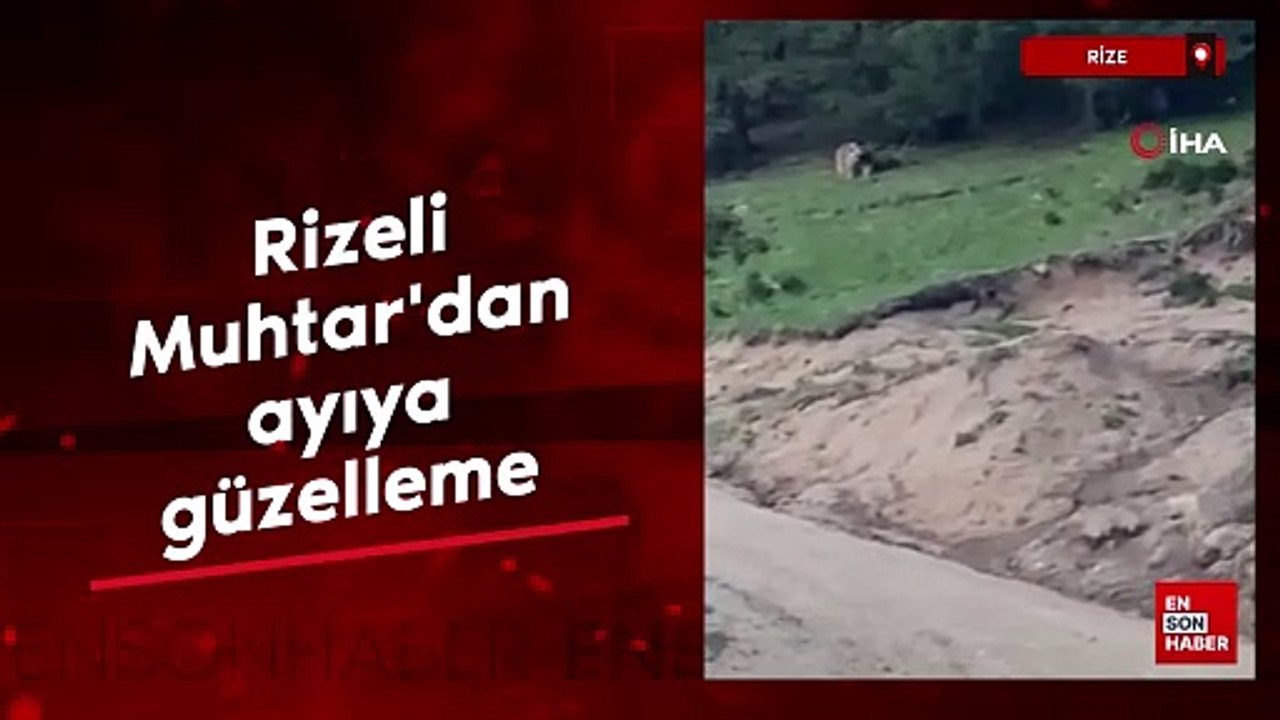 Rizeli Muhtar'dan ayıya güzelleme