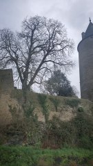 Peut-être que je suis la vf ?