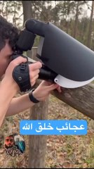 how the insects look like in reality? 😱🤯🤯