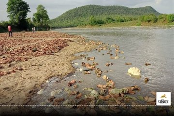 लाखों का हरा सोना अचानक क्यों बह गया? जानिए पूरी कहानी 🌱