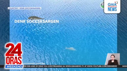 Mag-inang dugong na namataang lumalangoy sa Sarangani Bay, ikinatuwa ng mga conservationist | 24 Oras Weekend