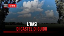 L'Oasi di Castel di Guido