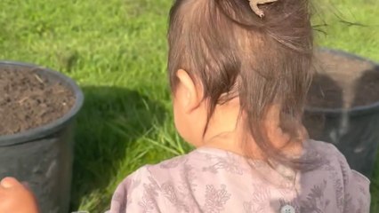 Frog jumps on toddler’s head during gardening and hilariously holds on