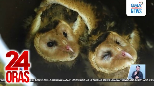 #KuyaKimAnoNa? - Ipo-ipo, na-#HuliCam sa dagat ng Roxas, Palawan... | 24 Oras