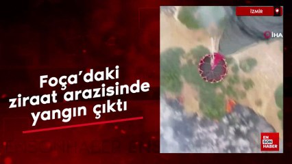İzmir Foça’daki ziraat arazisinde yangın çıktı