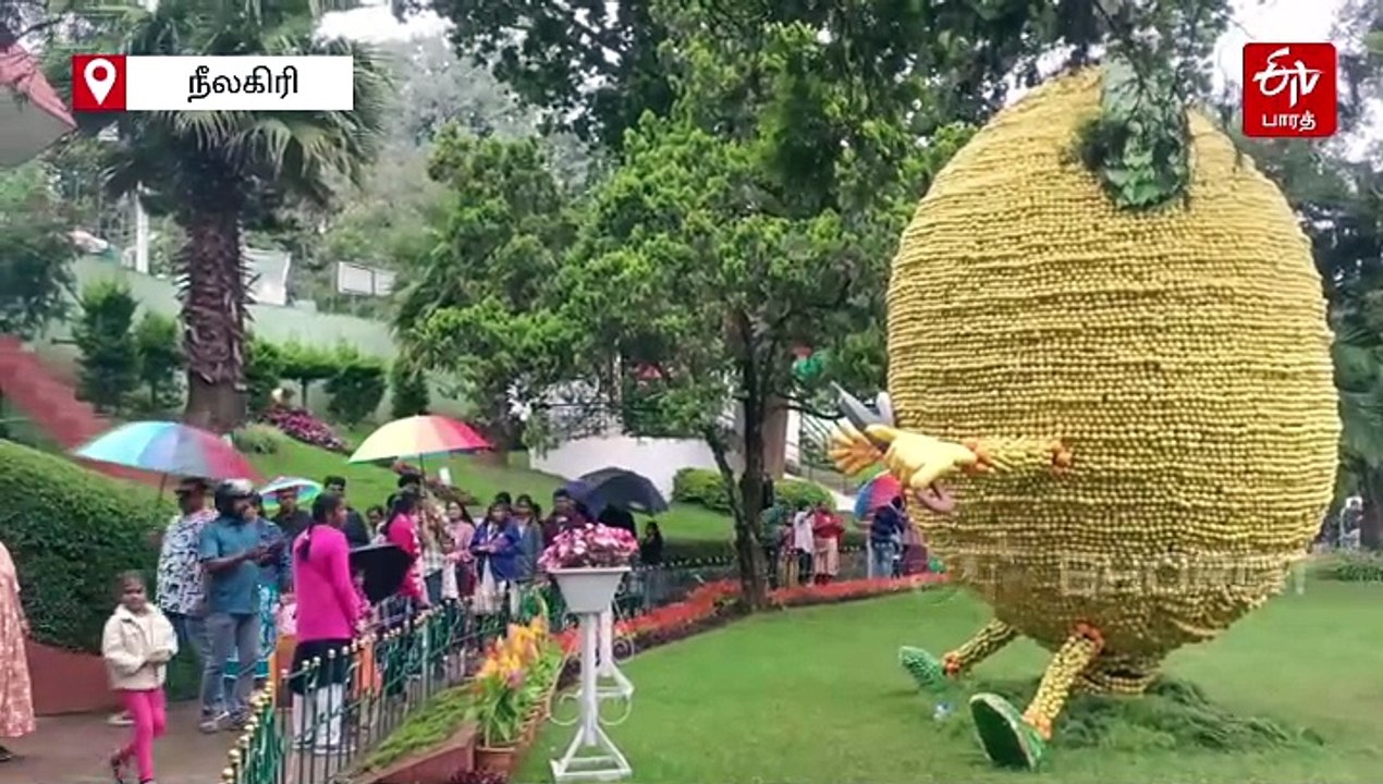 கொட்டும் மழையில் குடை பிடித்தபடி பழக் கண்காட்சியை ரசித்த சுற்றுலா பயணிகள்!