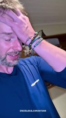 Biólogo aluga quarto em Curitiba e encontra cômodo infestado de aranhas-marrons; veja vídeo