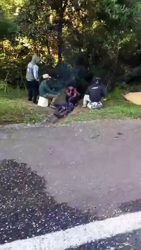 Carreta de Pato Bragado tem carga saqueada por Indígenas na BR 277