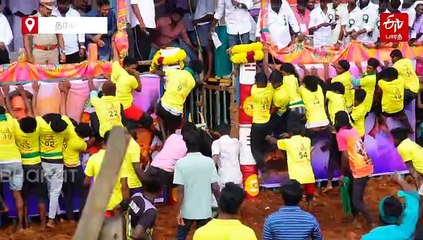 தடங்கம் ஜல்லிக்கட்டில் சீறிப் பாய்ந்த 600 காளைகள்! மல்லுக்கட்டிய வீரர்கள்!