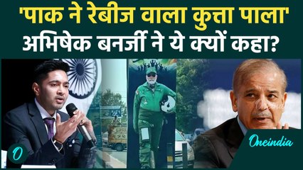 Abhishek Banerjee ने Pak को कहा रेबीज वाला कुत्ता, All Party Delegation में दहाड़े | वनइंडिया हिंदी