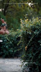 Vampire's Remedy - Full HD [ENG SUB]