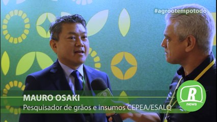 Pesquisador do CEPEA afirma que eficiência é diferencial do milho brasileiro