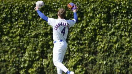 Pete Crow-Armstrong's Record Fantasy Baseball Season