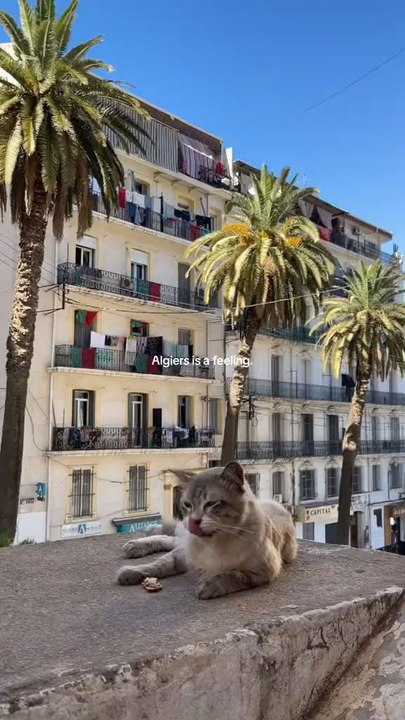 l'Algérie